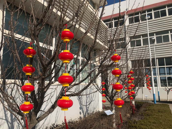 烟台马博平台_马博（中国）一站式服务平台
化工恭祝大家2021牛年行大运